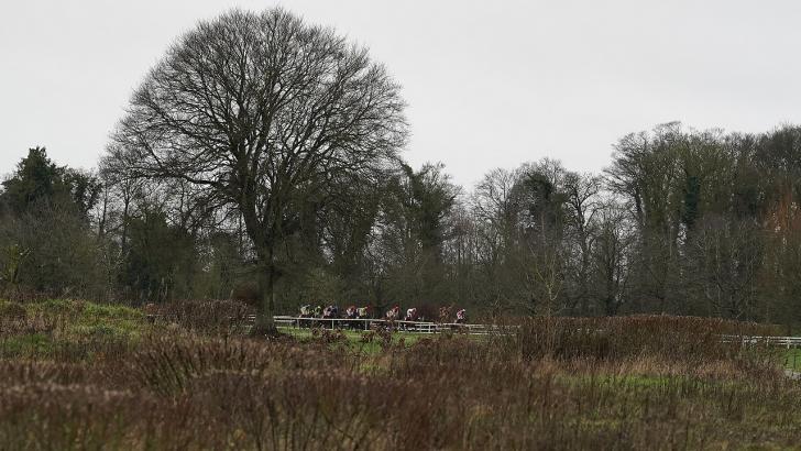 Horses racing at Gowran Park
